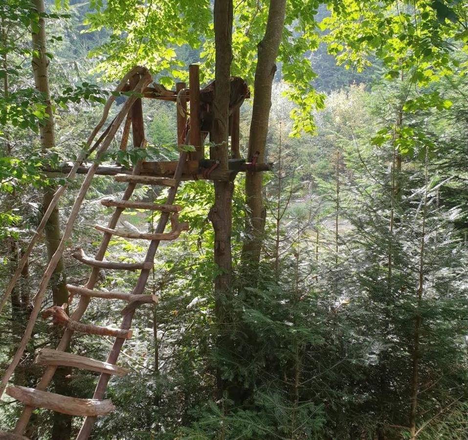 Зарінок Карпат Βίλα Mykulychyn Εξωτερικό φωτογραφία